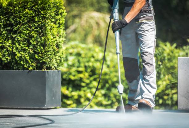Professional Pressure Washing in Dorothy, NJ